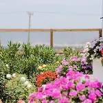 Villa Velonis With Private Pool And Sea View Agia Anna (Naxos)
