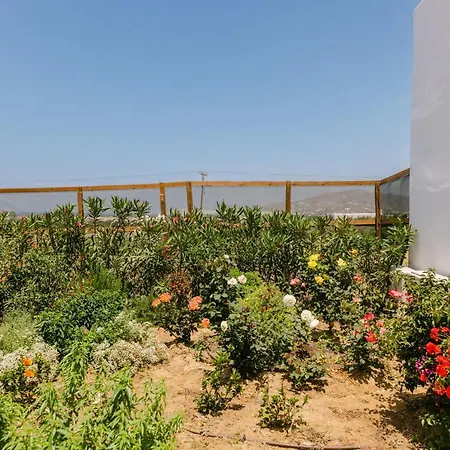 Velonis With Private Pool And Sea View فيلة Agia Anna (Naxos)