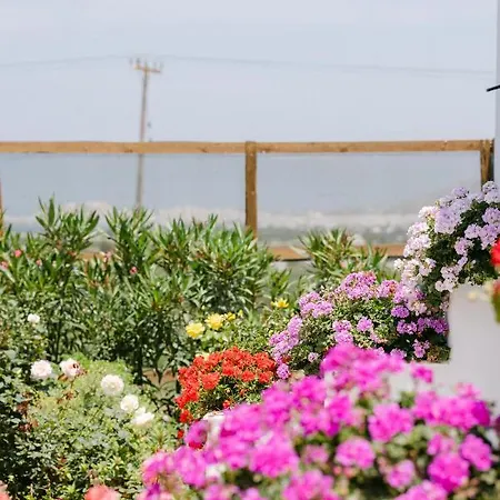 Villa Velonis With Private Pool And Sea View Agia Anna (Naxos)