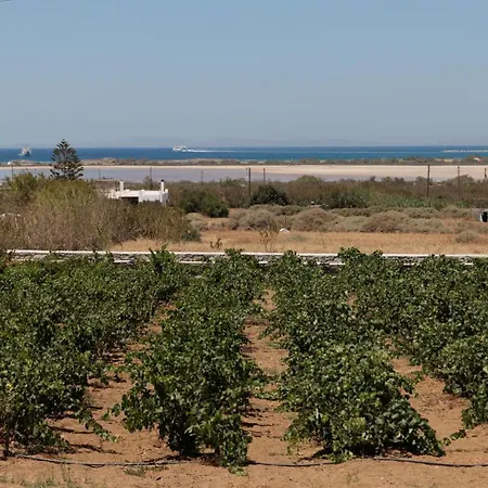 Velonis With Private Pool And Sea View וילה Agia Anna (Naxos)