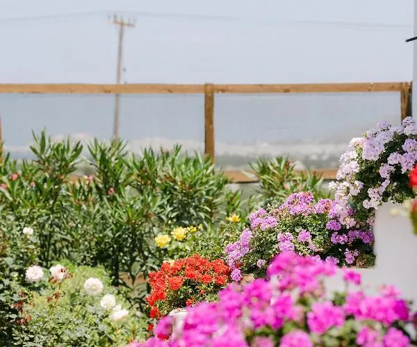 ヴィラ Velonis With Private Pool And Sea View Agia Anna (Naxos)