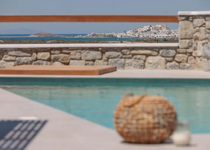 Velonis With Private Pool And Sea View ヴィラ Agia Anna (Naxos)